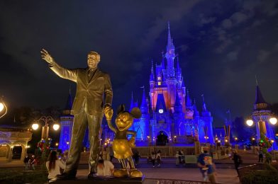 VIDEO: Guests Lead Spontaneous Countdown to 2021 at Magic Kingdom