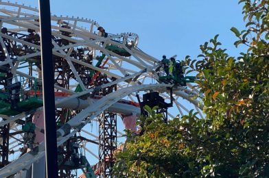 PHOTOS: Workers Preparing To Finish Illuminated Canopy Framework at TRON Lightcycle Run in Magic Kingdom