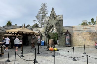 PHOTO REPORT: Universal Orlando Resort 1/7/21 (Work in the Lagoon, Plexiglass Divider Mishaps, Low Crowds, and More)