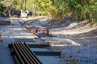 PHOTOS: Walt Disney World Railroad Track Installation Chugging Along at Fantasyland Station in Magic Kingdom