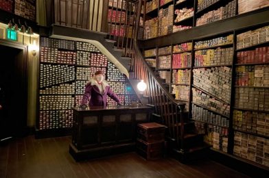 UPDATE: Ollivanders Wand Experience Back to One Party Per Room, Up to Eight People at Universal Orlando Resort