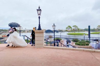 Say ‘I Do’ To This Wedding Collection From Disney World!