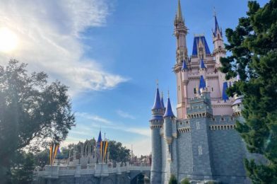 Disney World Annual Passholders Park Passes Replenished on Certain Days in January!