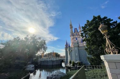 What’s New in Magic Kingdom: A Secret Menu Drink and Refurbishment Updates!