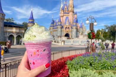 7 SECRET Menu Disney Character Starbucks Drinks And HOW To Order Them!