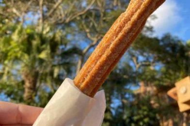 REVIEW: We Want to Double Stuff Our Faces With OREO Churros in Disney World!