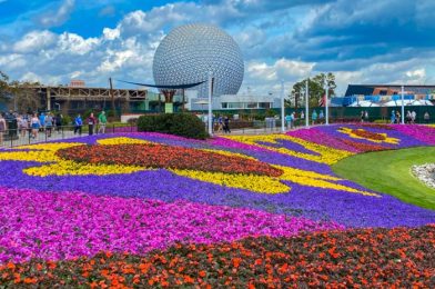 News: MENUS Announced for EPCOT’s 2021 Flower and Garden Festival