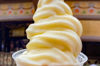 Did You Know About This Dole Whip Option in Disney World?!