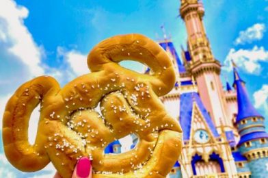 6 Rules for Taking GREAT Food Photos at Disney World