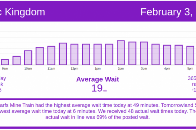 Low to Moderate Crowds – Disney World Wait Times for Wednesday, February 3, 2021