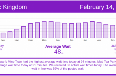 Busy Busy Busy! Disney World Wait Times for Sunday, February 14, 2021