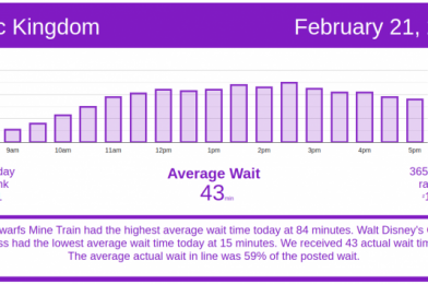 Strong Crowds Again! Disney World Wait Times for Sunday, February 21, 2021