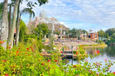 Heads Up! There Are MONEY Trees in Disney World!