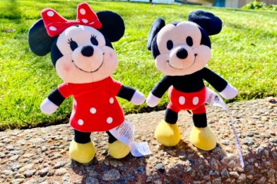 Get a Sneak Peek at 2 NEW Disney Items Coming Soon