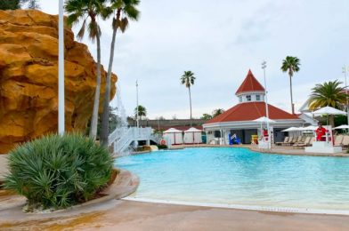 10 Hidden Secrets About Disney World Pools