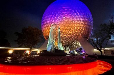 Disney World Wait Times are On the Rise Again in ALL Four Parks!