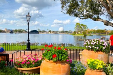 Just Add Water to Use EPCOT’s Mind-BLOWING Souvenir