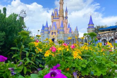 Get a SNEAK PEEK of Disney World’s 50th Anniversary Celebration!