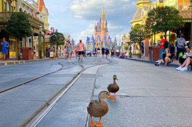 We Creeped On a Duck Date in Disney World