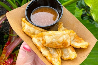 Could This Unexpected Disney Snack Help Us Forget the Spring Roll Cart Is Closed?!