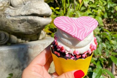 Review: This Cupcake in Disney’s Animal Kingdom is a Chocolate-and-Cherry Treat!