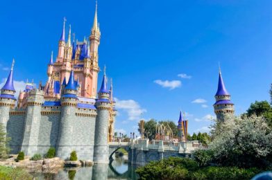 PSA: A Disney World Ticket Option Returns Next Month!