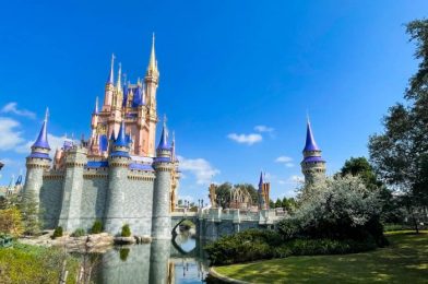 SAVE on Your Next Disney World Vacation! We Have ALL the Current Disney World Hotel Deals and Discounts!