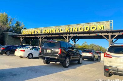 4 Snacks and 2 New Drinks Have Arrived in Disney’s Animal Kingdom!