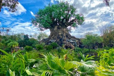 See How Disney’s Animal Kingdom is Celebrating Valentine’s Day!