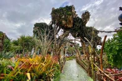 A LONG Line for an Unexpected Attraction and TONS of Pins Take Over Animal Kingdom