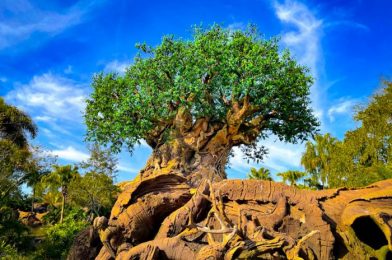 Can You Guess What This 40 Ton Pile of Sand in Disney World Will Become?