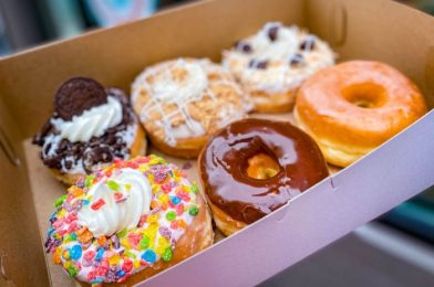 A Girl Scout Cookie DONUT Is Coming to Disney World!