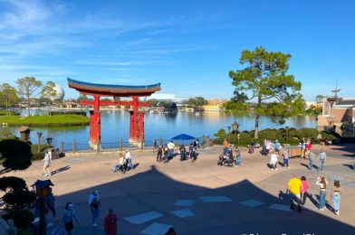 REVIEW: How Do You Socially Distance at a Hibachi Table in Disney World?!