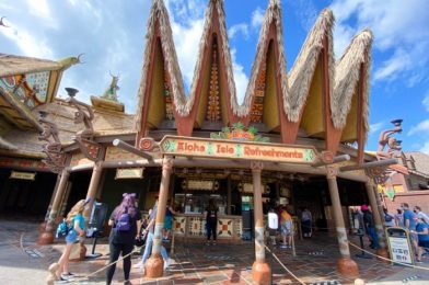 We FINALLY Got the Dole Whip Swirl of Our DREAMS in Disney World!