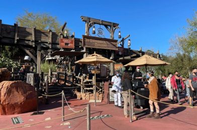 Have You Seen This Disney World Attraction With a Line Before?