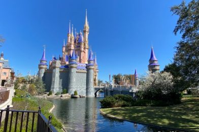 What’s New at Magic Kingdom: Two Attractions Reopen, Puppet Plushes, and A Poisonous Trinket Tray