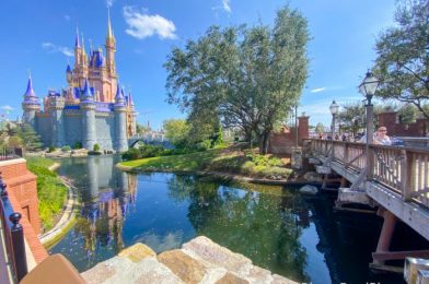 Cinderella Castle Looks DIFFERENT and 3 Disney Resorts Are Getting Refurbished!