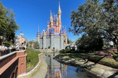 15 Photos of Disney World At CAPACITY Today