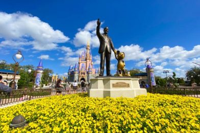 NEWS: Magic Kingdom TV Universe Reportedly in Development for Disney+