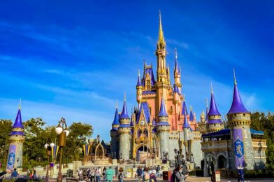 DFB Video: 21 Things You Never Knew About Magic Kingdom