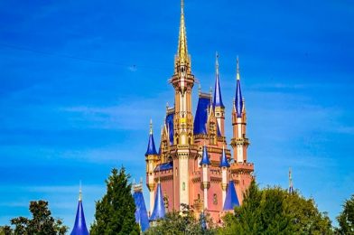 Are Disney World Ticket Prices Increasing in 2022? Here’s What We’re Seeing.