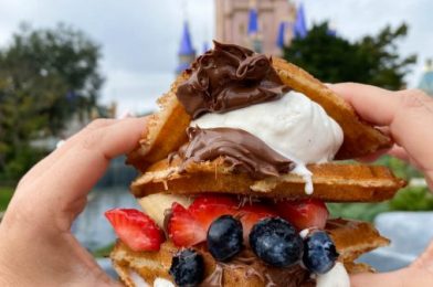 We Just Upgraded Our Ice Cream Cookie Sandwich in Disney World!