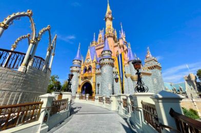 The Cherry Float You Didn’t Know Existed in Disney World