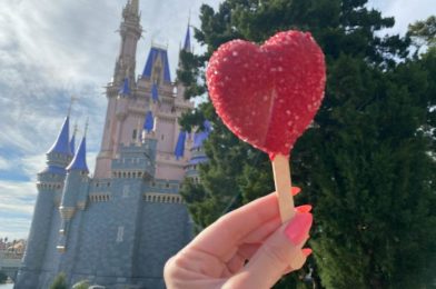 Mickey Ear Hat Bowls Have Taken Over the Magic Kingdom!