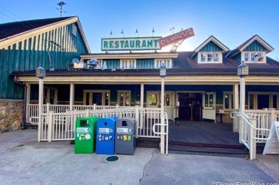 These New Trash Cans in Disney World Have a SPECIAL Purpose