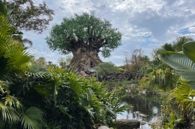 What’s New at Disney’s Animal Kingdom: nuiMOs Outfits, Banshee Puzzles, and Pearl Minnie Ears!