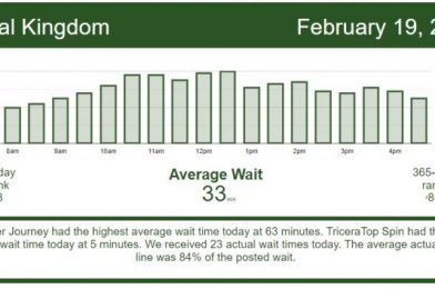 It’s Still Busy – Disney World Wait Times for Friday, February 19, 2021