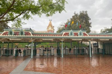 Disneyland To Consider Adding Dedicated Entrance for Passholders