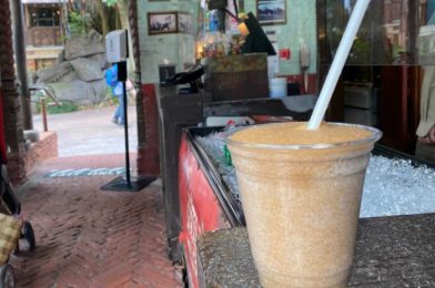 Where Can You Get a Boozy Slushy at Disney’s Animal Kingdom?