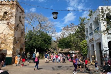 Harambe Fruit Market – The Best Spot in Animal Kingdom for a Healthy Snack